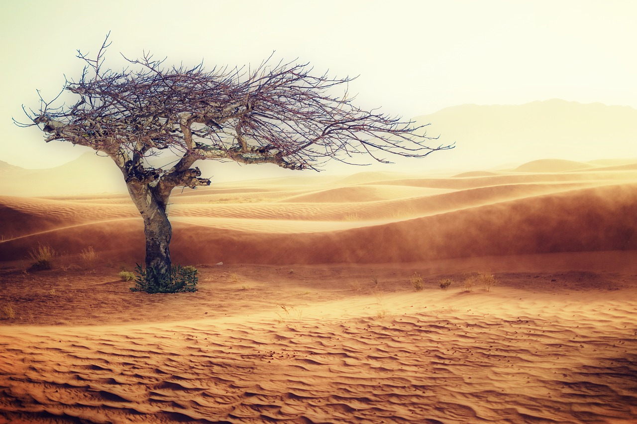 Climate Change: A Catalyst for Mass Migration